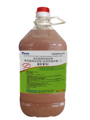 Aquakultur Probiotika, Tierfutter-additiver Lactobacillus- Plantarumbacillus-subtilisstabilisierte Wasserqualitäts-Algen P